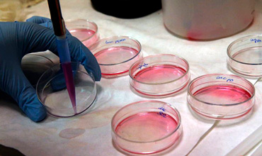 Profesionales en Regulación Sanitaria de Medicamentos y Estupefacientes